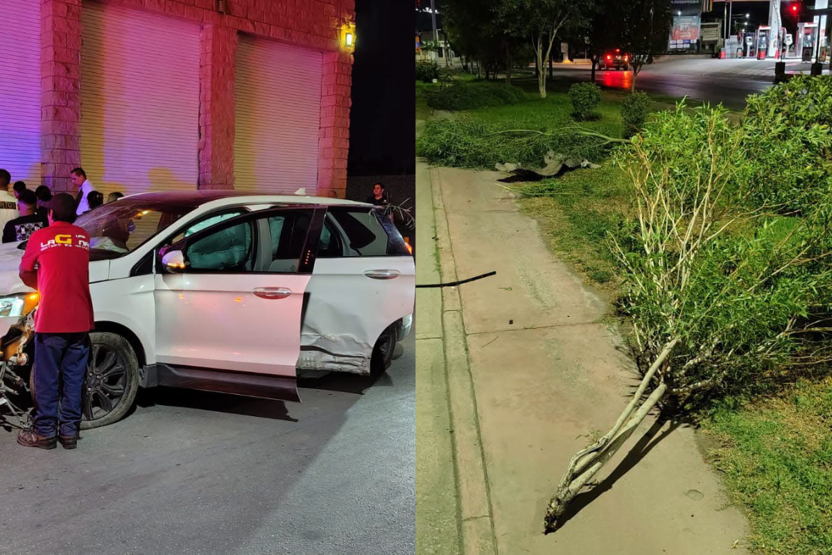 Joven ebrio derriba cuatro árboles del bulevar Constitución; camioneta queda destrozada