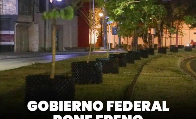 Gobierno Federal pone freno a la reforestación en Circuito Colonias