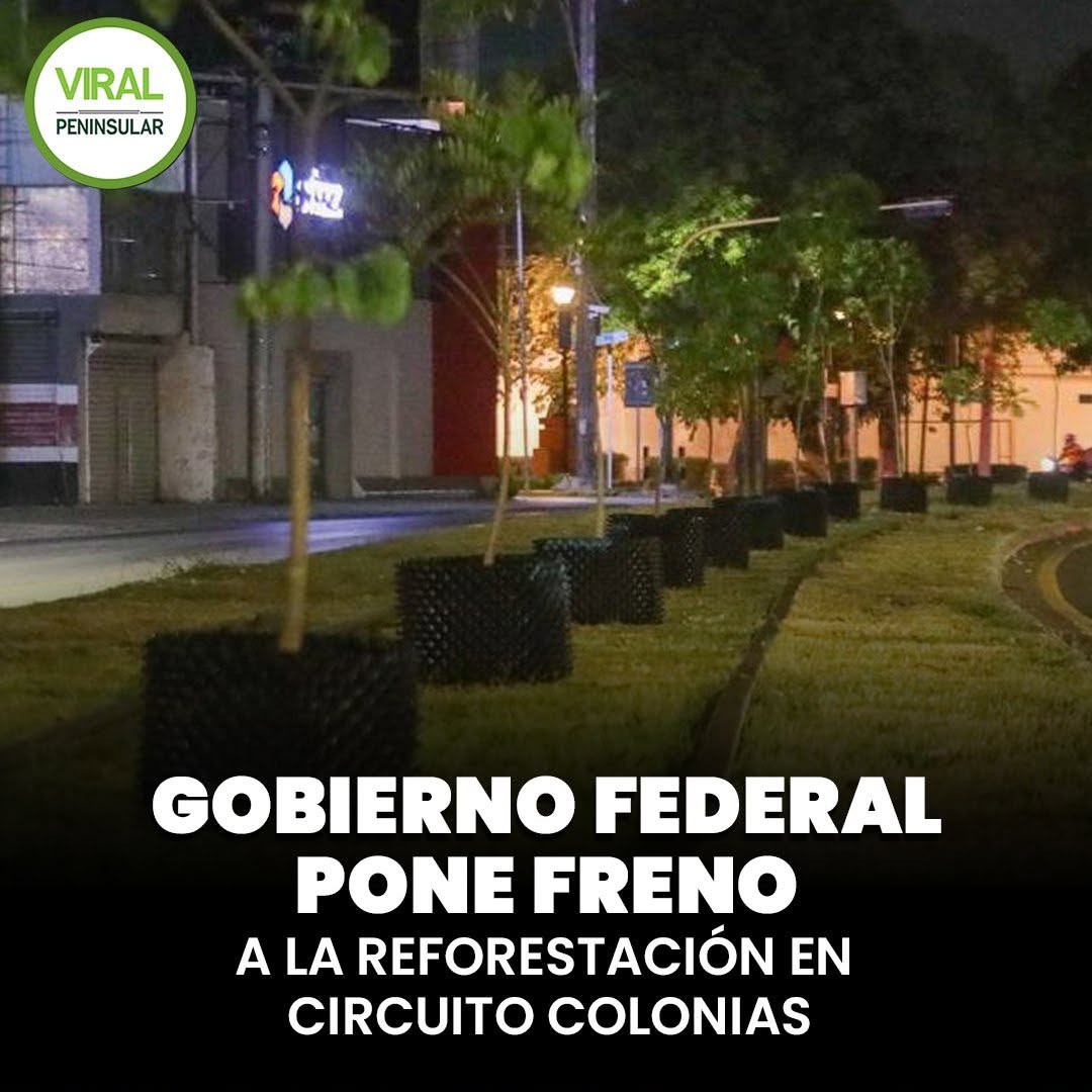 Gobierno Federal pone freno a la reforestación en Circuito Colonias