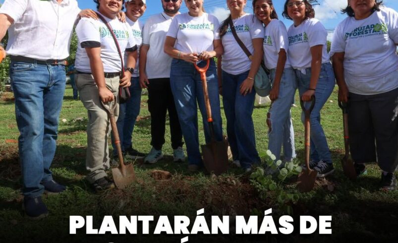 Plantarán más de 8 mil árboles en Mérida durante Cruzada Forestal 2026