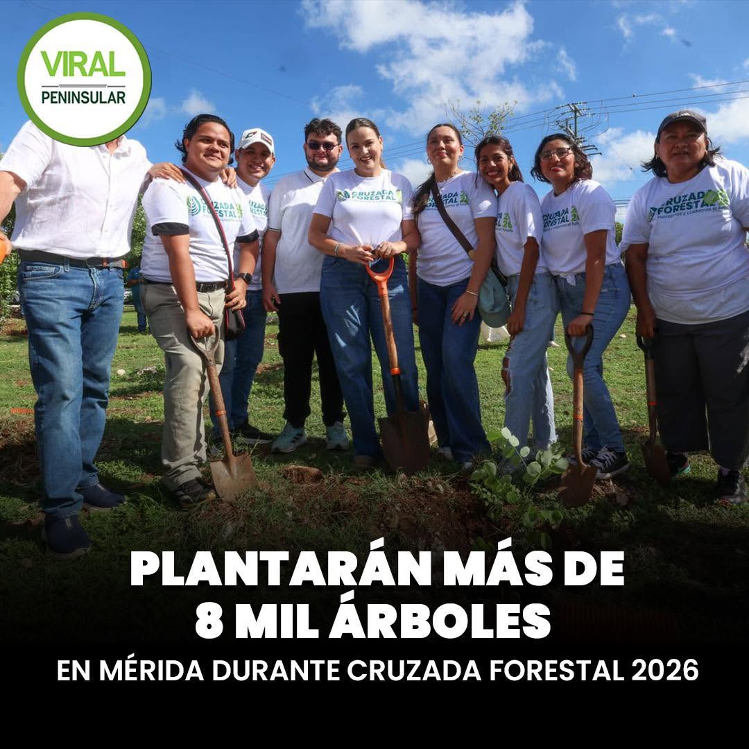 Plantarán más de 8 mil árboles en Mérida durante Cruzada Forestal 2026