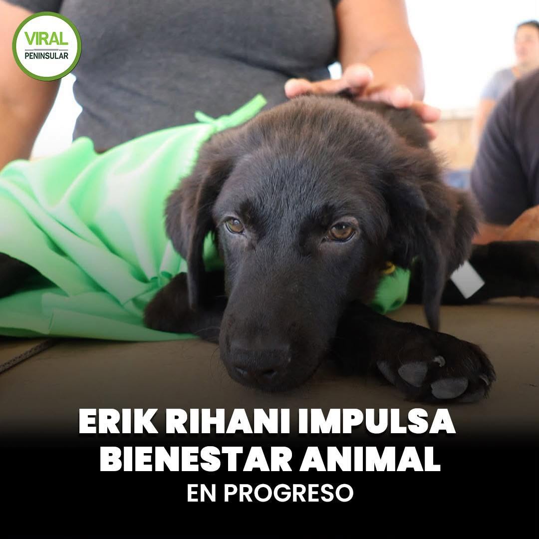 Erik Rihani impulsa bienestar animal en Progreso