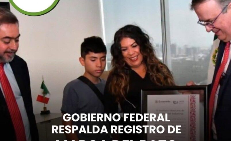 Gobierno federal respalda registro de marca del Pato Merlín