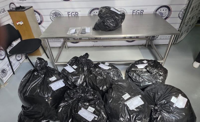 Aseguran 90 kilos de marihuana y 8 kilos de cristal en San Pedro; hay dos detenidos