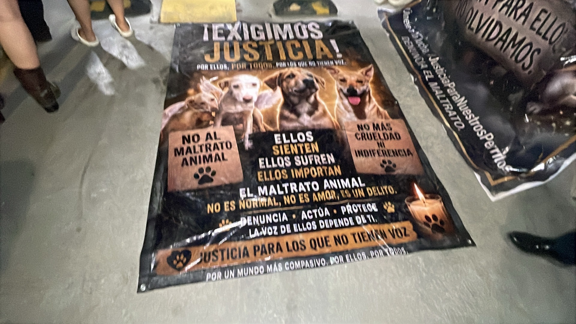 Vinculan a proceso a Liliana “N” por presunta crueldad animal