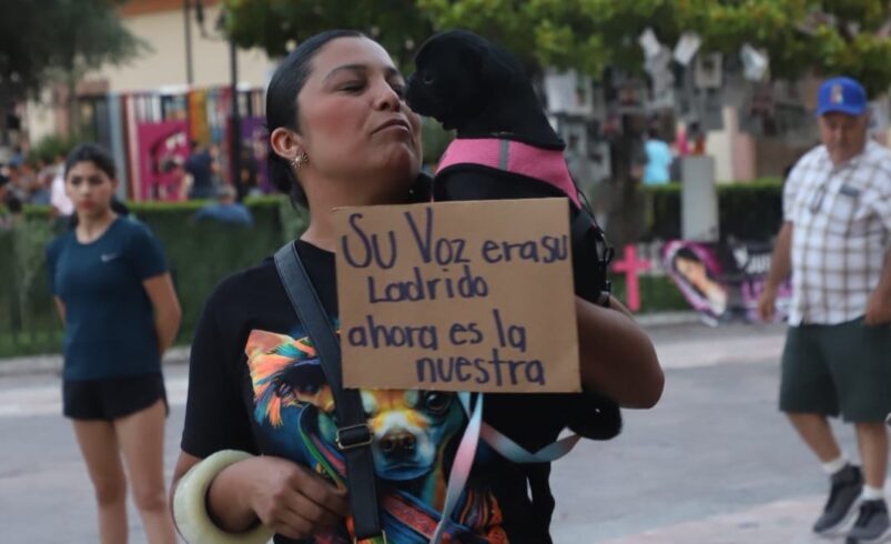 Exigen justicia para Rocky; multitud se manifiesta en Saltillo y rinde homenaje en Pets Care