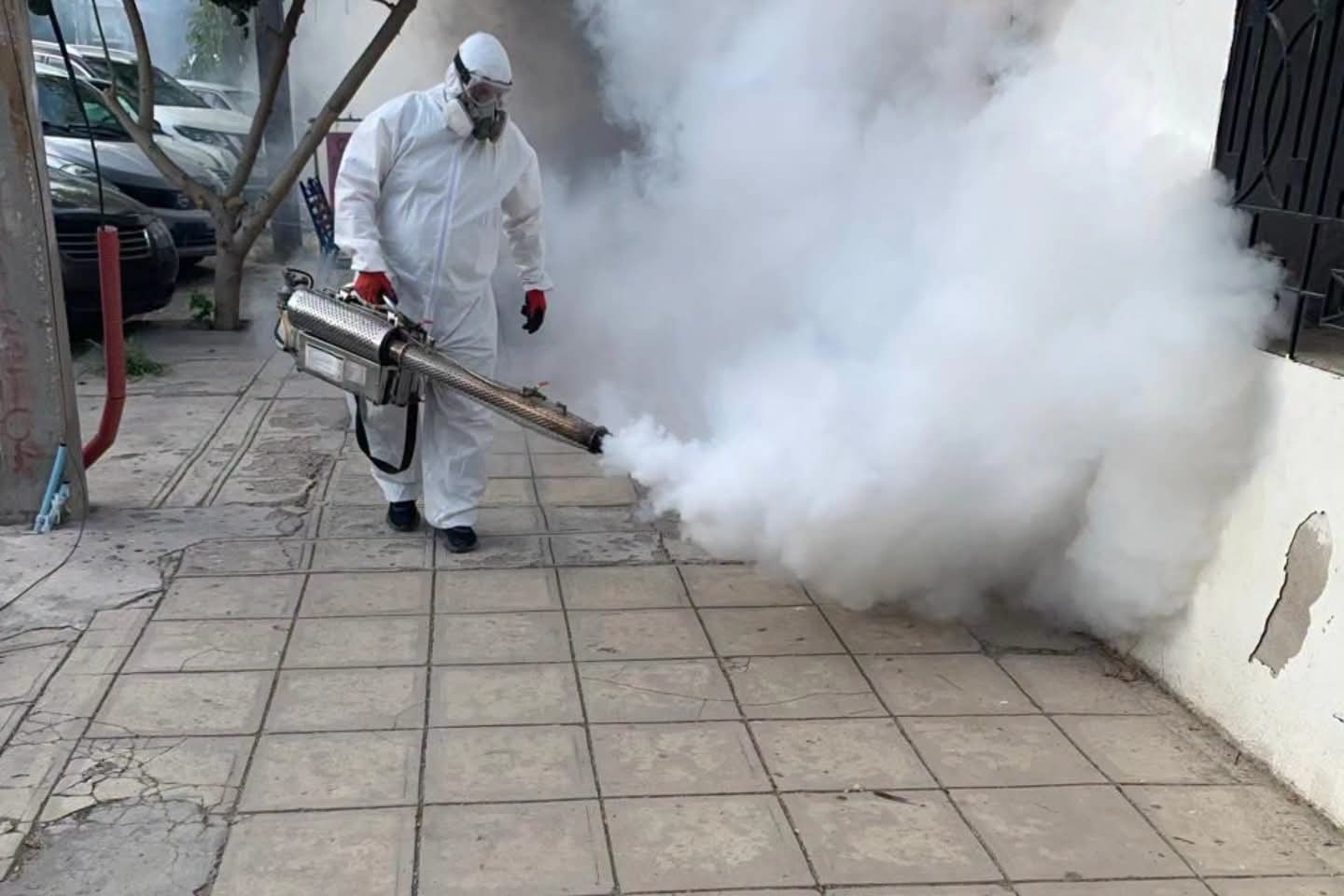 Anuncian calendario de fumigación y abate contra mosquitos en La Laguna