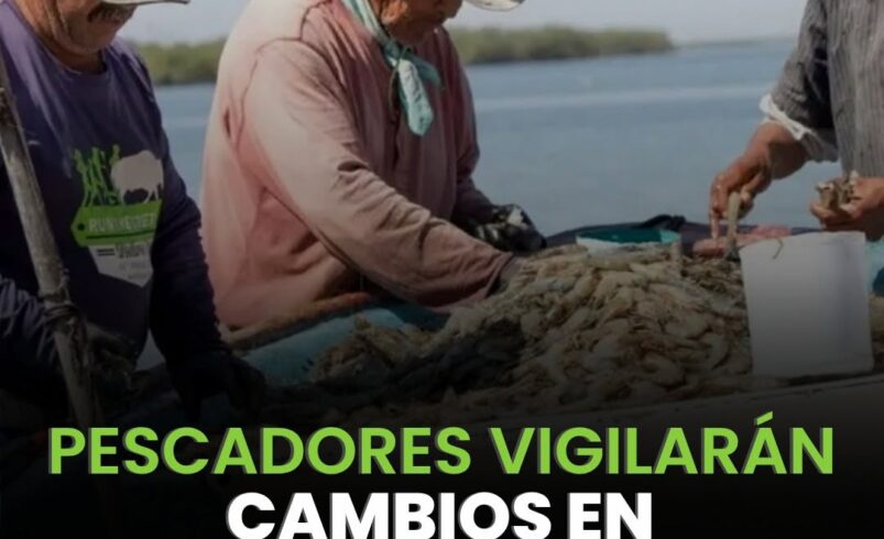 Yucatán crea red de monitoreo contra la marea roja.