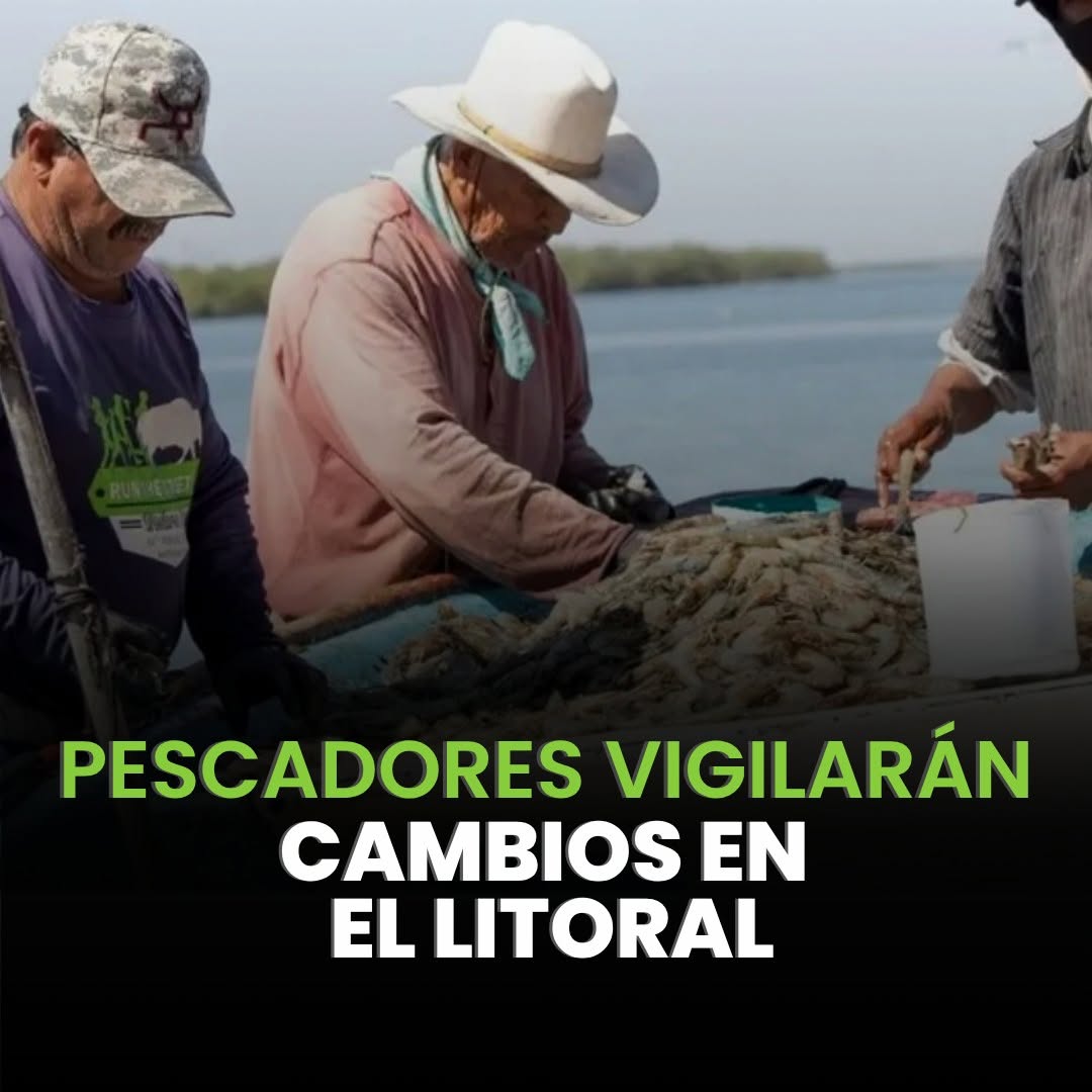 Yucatán crea red de monitoreo contra la marea roja.