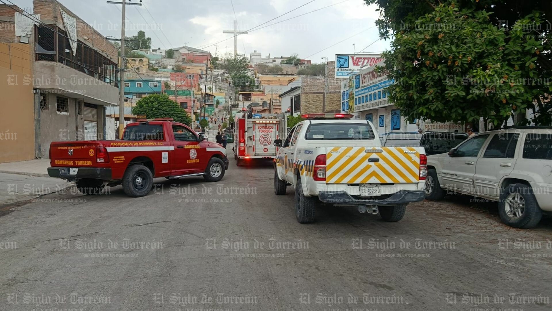Reportan presunta pantera en pensión de autos y movilizan a corporaciones en Torreón