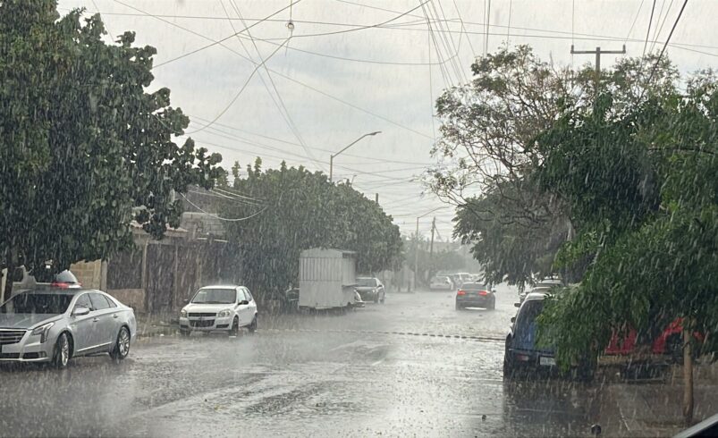 Tromba en Torreón deja árboles caídos y fallas en el suministro de energía; Activan operativo por afectaciones