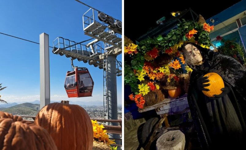 Exposición Otoño en Puerto Noas: horarios, precios y TODO lo que debes saber